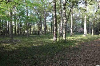 117 Hickory Ln Unit Briarcliffe Acres, Myrtle Beach, SC 29572