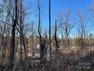 Tract 1 Toms Park Cir, Hendersonville, NC 28739