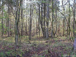Lot 6a Parson Rd Unit 6a, McConnells, SC 29745
