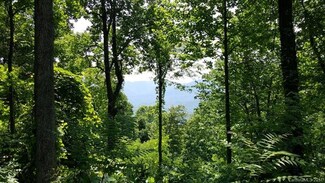 Lot T-18 1915 Creston Dr Unit T-18, Crooked Creek, NC 28711