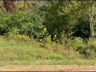 624 Thompson Creek Ln_lot 71, Cookeville, TN 38506