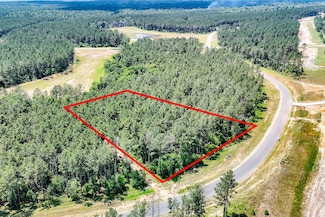 15469 Forest Grove Dr, Willis, TX 77378