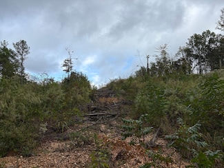 0 Highway 129 Hubbertville Unit AL 35555, Hubbertville, AL 35555