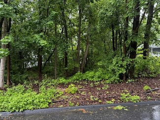 00 Walnut St, West Milford, NJ 07438