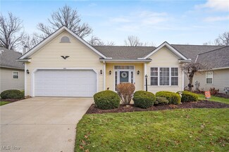 1441 Hollow Wood Ln, Avon, OH 44011