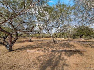 2615 E La Pointe Ave, Alton, TX 78573