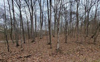 0 Dogwood Ct Unit RTC2669821, Dickson, TN 37055