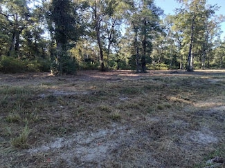 Lot 90 Coastal Hwy, Crawfordville, FL 32327