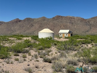 17 Quail Run Rd, Animas, NM 88020