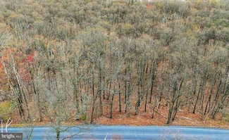 00 Sugarloaf Heights Rd, Drums, PA 18222