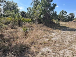 2817 56th St W, Lehigh Acres, FL 33971