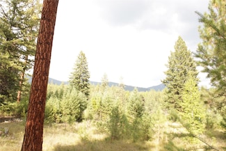 27603 Issac Creek Rd, Huson, MT 59846