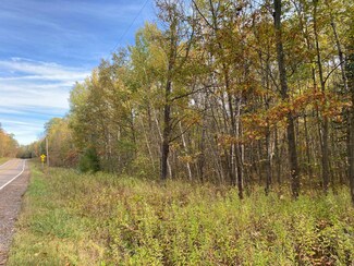 ON Wisconsin 107, Merrill, WI 54452
