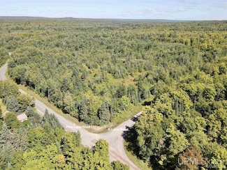 9692 N Laird Rd, Laird Township, MI 49958