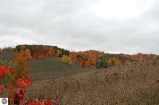 6597 E Hillside Dr, Cedar, MI 49621