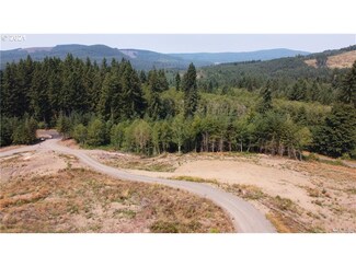 0 S Goble Creek Rd Unit Lot E 21408868, Kelso, WA 98626