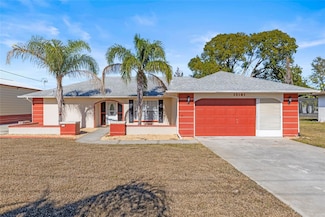 13101 Delbarton St, Spring Hill, FL 34609