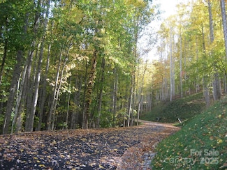 10 Katua Trail Unit 10, Maggie Valley, NC 28751