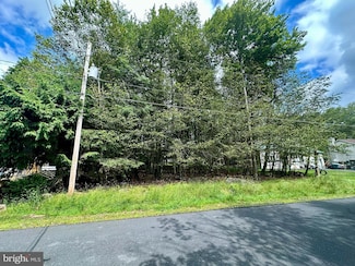 234 Jewel Terrace, Tobyhanna, PA 18466