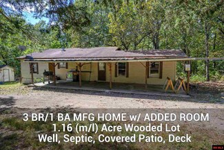 3954 Arkansas 101, Gamaliel, AR 72537