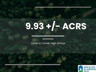 8553 Bill Jones Rd Unit 1, Warrior, AL 35180