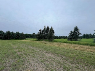 Lot 8 Sue Alan Dr, Wittenberg, WI 54499