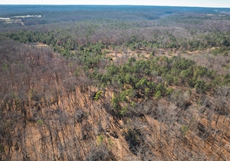 000 Deason Drive-Tract 2, Licking, MO 65542