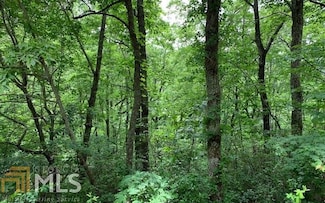 50 Eagles View Cir, Hayesville, NC 28904
