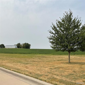 XXX Faith Dr, Highland, IL 62249