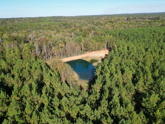 0 Gardner Bassett Rd, Troy, AL 36081