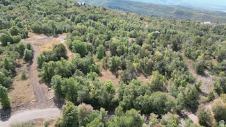 22045 N 14376 E Unit 62, Fairview, UT 84629