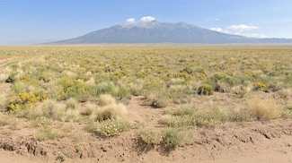 30939 Gunnison Ave, Blanca, CO 81123