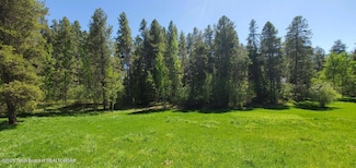 4085 Leigh Ln, Alta, WY 83414