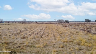 14410 Louisiana 92, Maurice, LA 70555