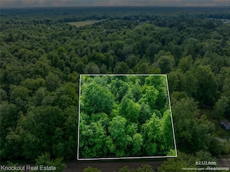 #0047 V L Maplegrove Ln, Vassar, MI 48768