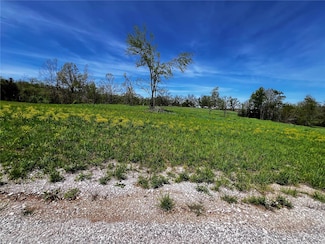 1009 Legacy Ln, Perryville, MO 63775