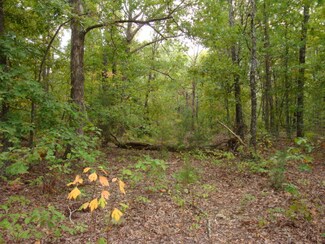 TBD West, Summersville, MO 65571