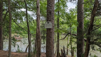 Lot 83 Retreat Way, Ridgeway, SC 29130