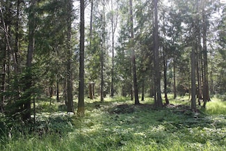 NNA N River Lake Dr, Clark Fork, ID 83811