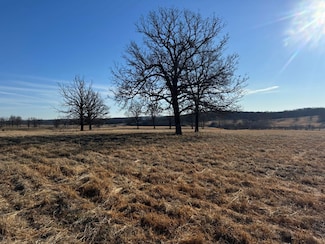 State Hwy Tt, Falcon, MO 65470