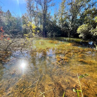 12124 County Road 122, Centerville, TX 75833