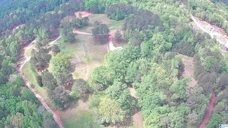 0 Alabama 69, Chelsea, AL 35043