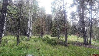 260 Aspen Trail, Cimarron, CO 81220