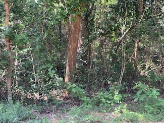 TBD Tanyard Rd, Willis, TX 77378