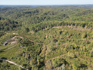 0 Tbd Wildcat Rd Unit 11591026, East Bernstandt, KY 40729