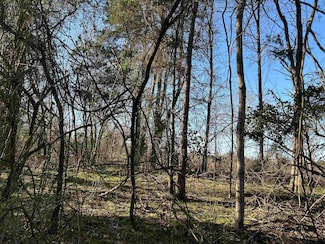 TBD County Road 3324, Pittsburg, TX 75686