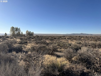 0 SE Pinion Ln Unit 228511914, Christmas Valley, OR 97641