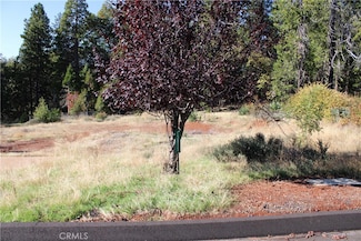 13911 Cluster Ct, Magalia, CA 95954