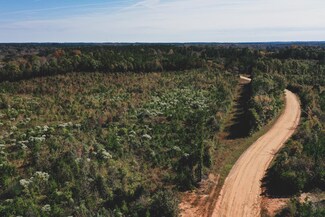 30.8 Ac Ernest Turner Rd, Warrenton, NC 27844