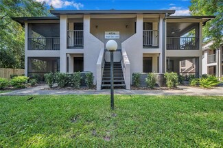 4036 Angel Oak Ct Unit 104, Tampa, FL 33613